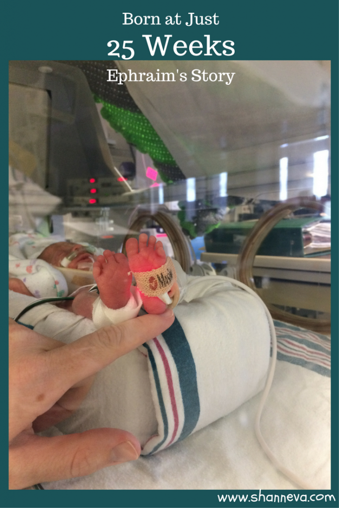 25 Weeks Gestation Ephraims Story Shann Evas Blog 